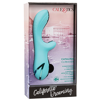 California Dreaming Venice Vixen